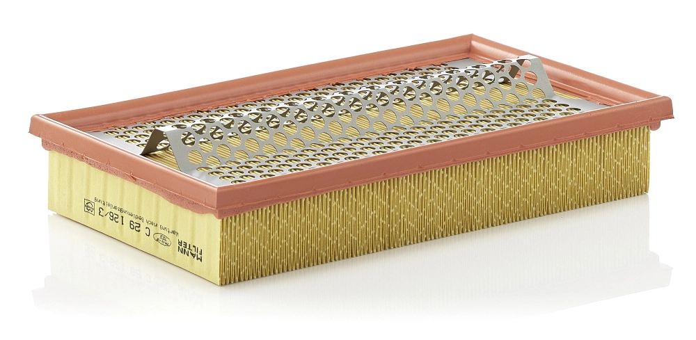 Air Filter C 29 126/3