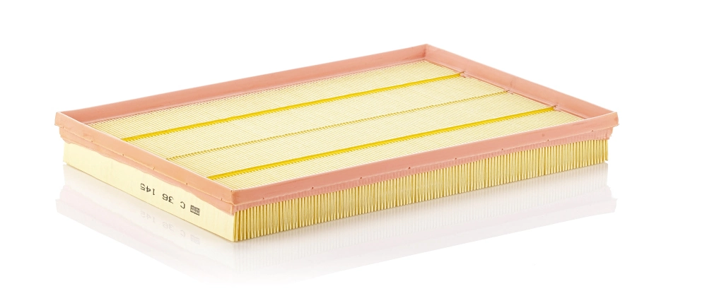 Air Filter C 36 145