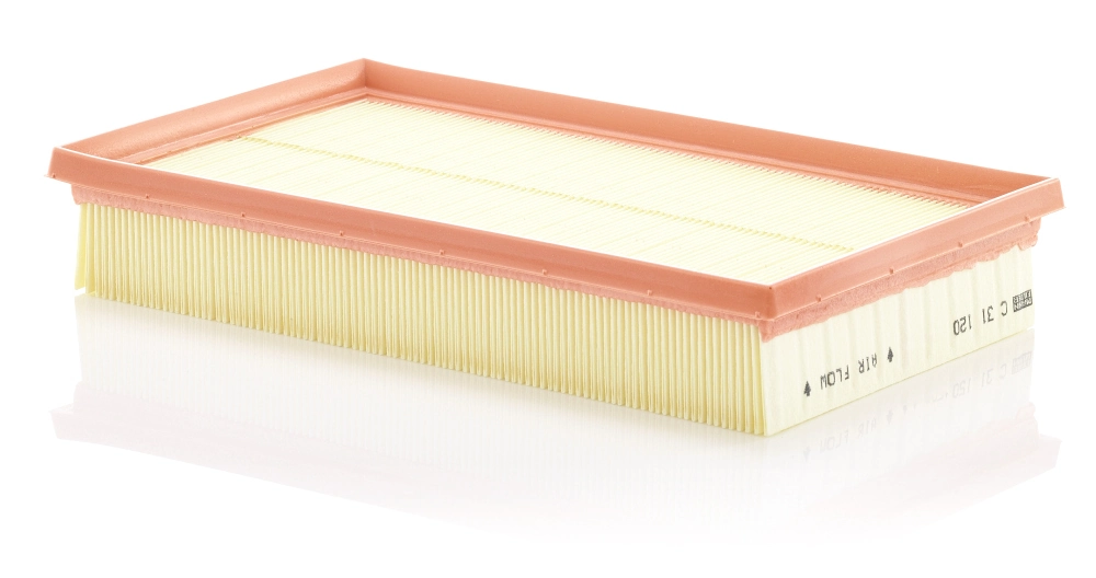 Air Filter C 31 120