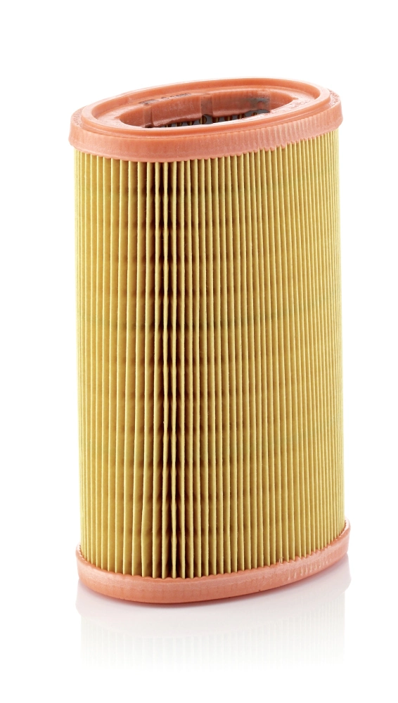 Air Filter C 1480