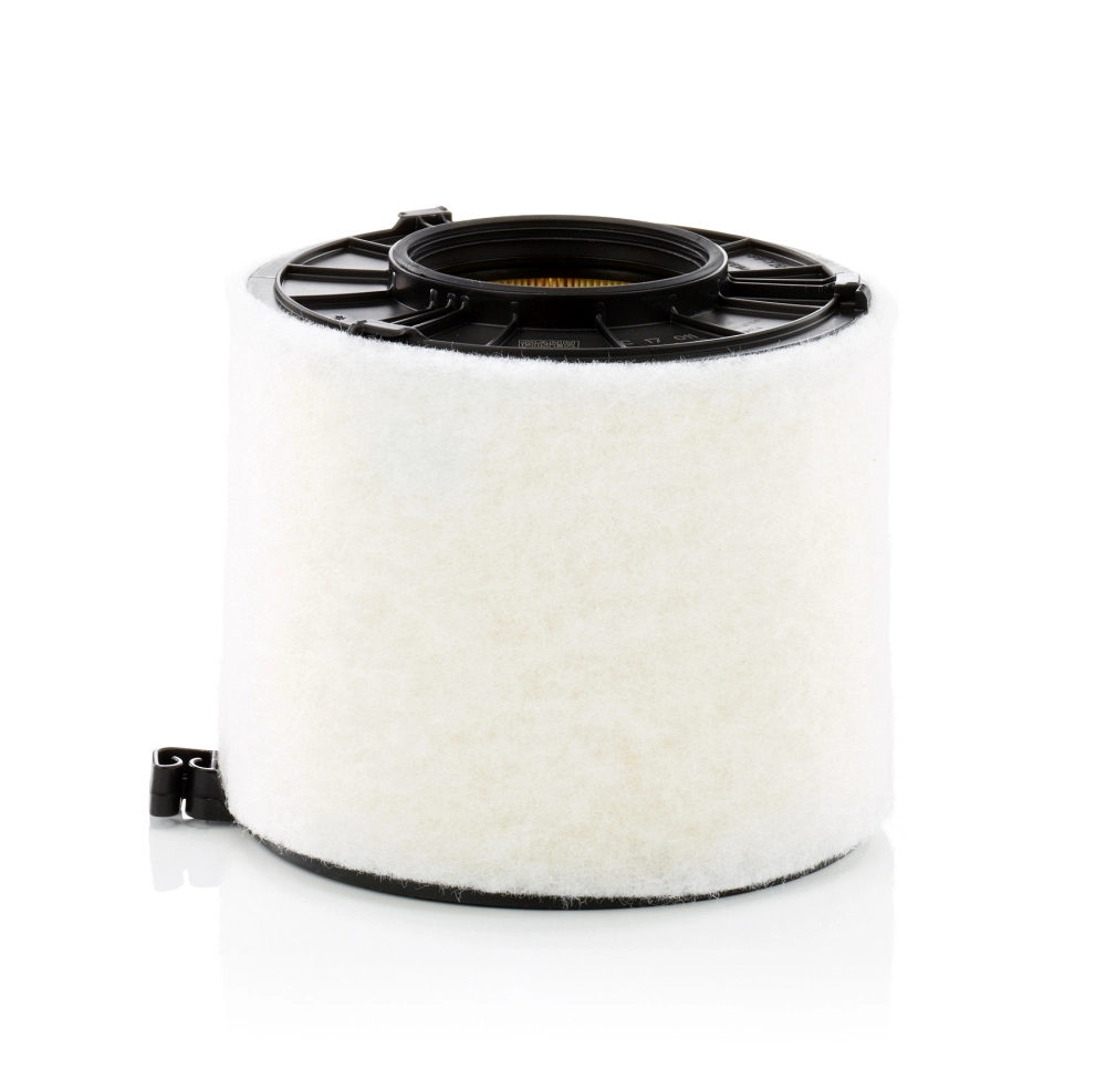 Air Filter C 17 011