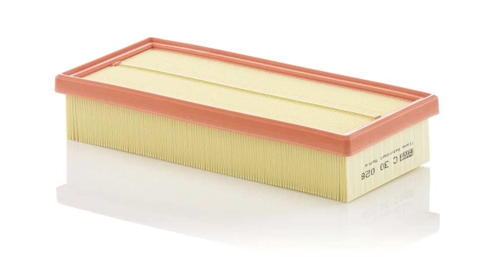 Air Filter C 30 028