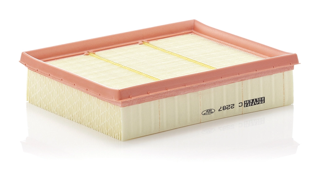 Air Filter C 2287
