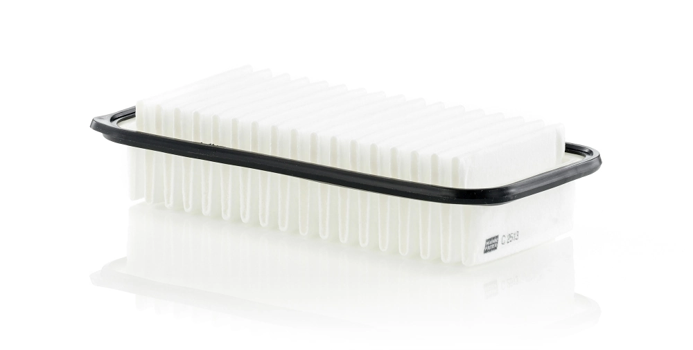 Air Filter C 2513