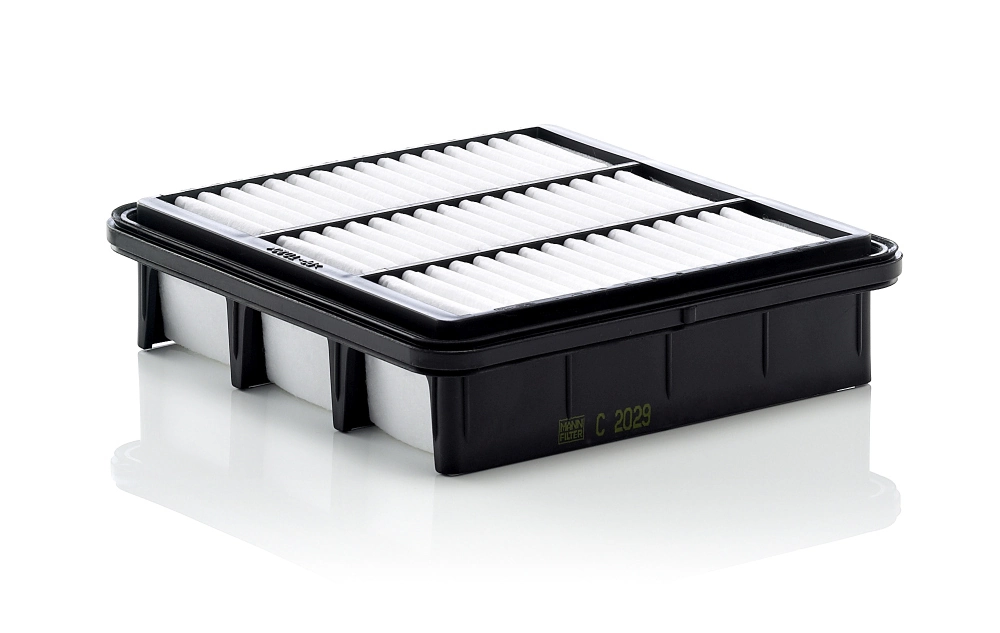 Air Filter C 2029