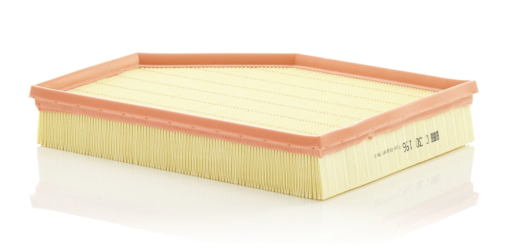 Air Filter C 30 196