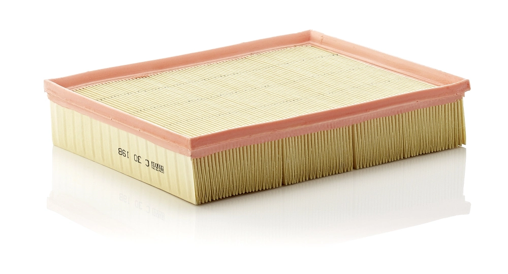Air Filter C 30 198