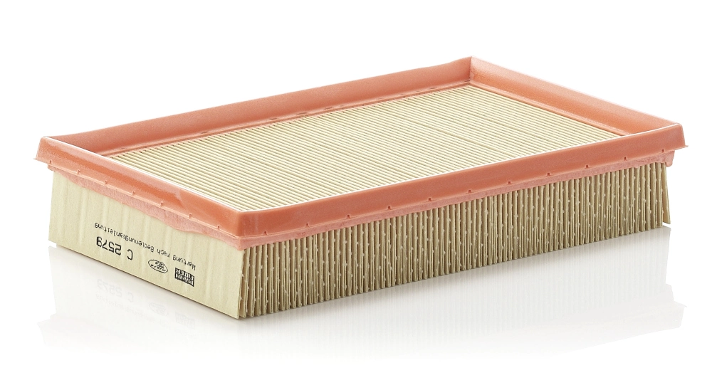 Air Filter C 2579