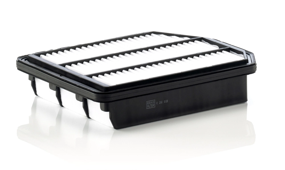 Air Filter C 26 018