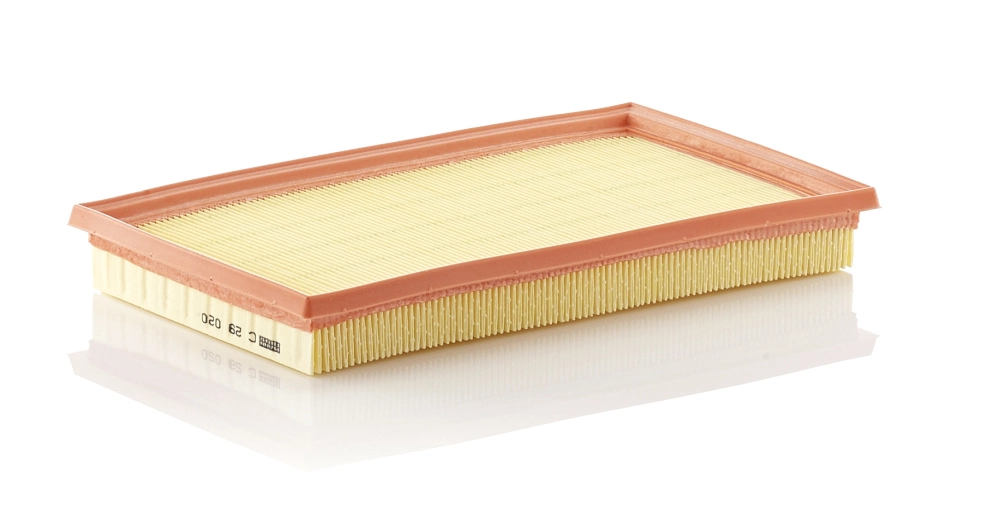 Air Filter C 29 020