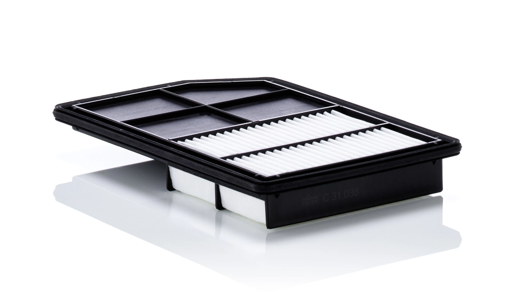 Air Filter C 31 038