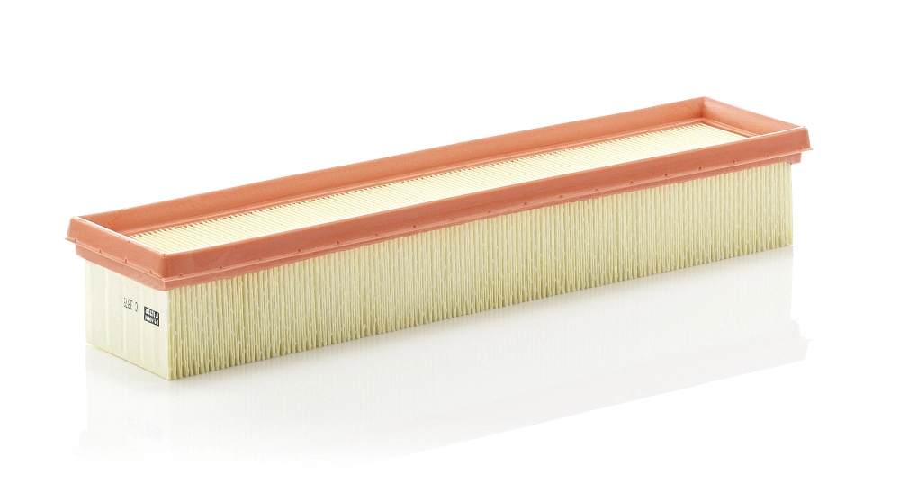 Air Filter C 3875