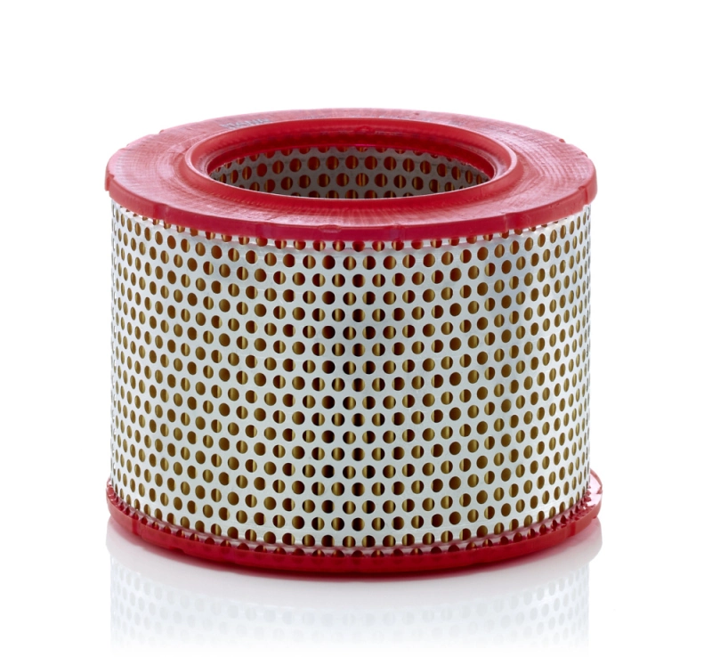 Air Filter C 1555/6