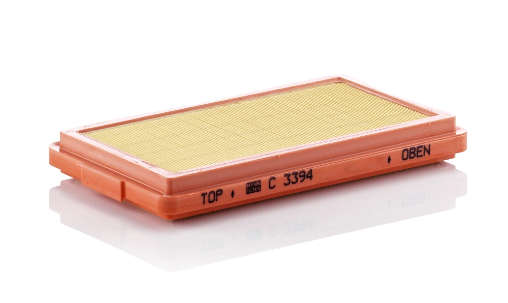 Air Filter C 3394