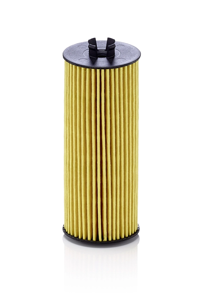 Oil Filter HU 6009 z