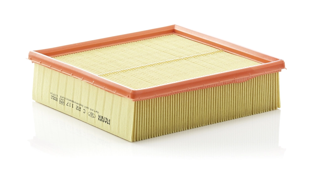 Air Filter C 22 117
