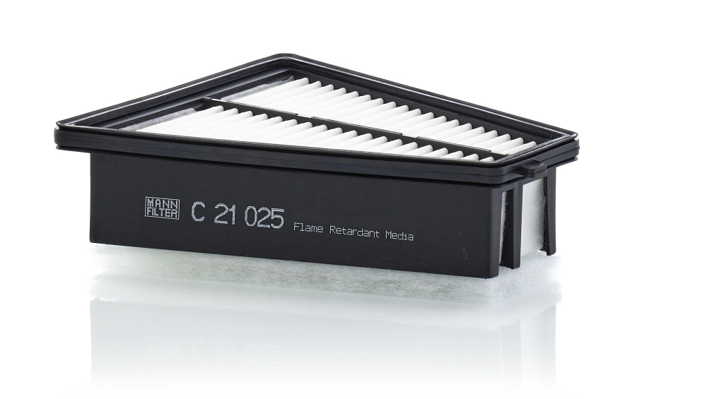 Air Filter C 21 025