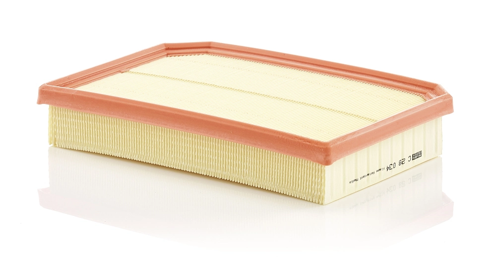 Air Filter C 28 034