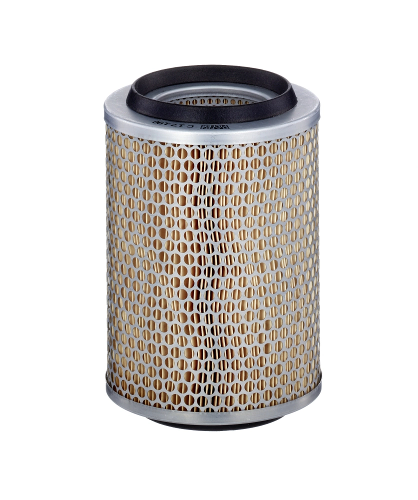 Air Filter C 17 190
