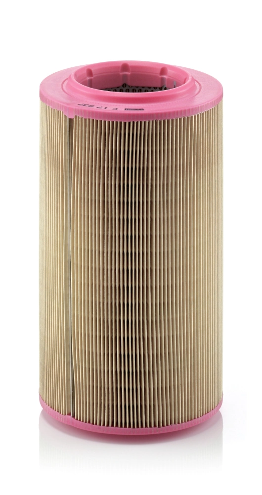Air Filter C 17 237