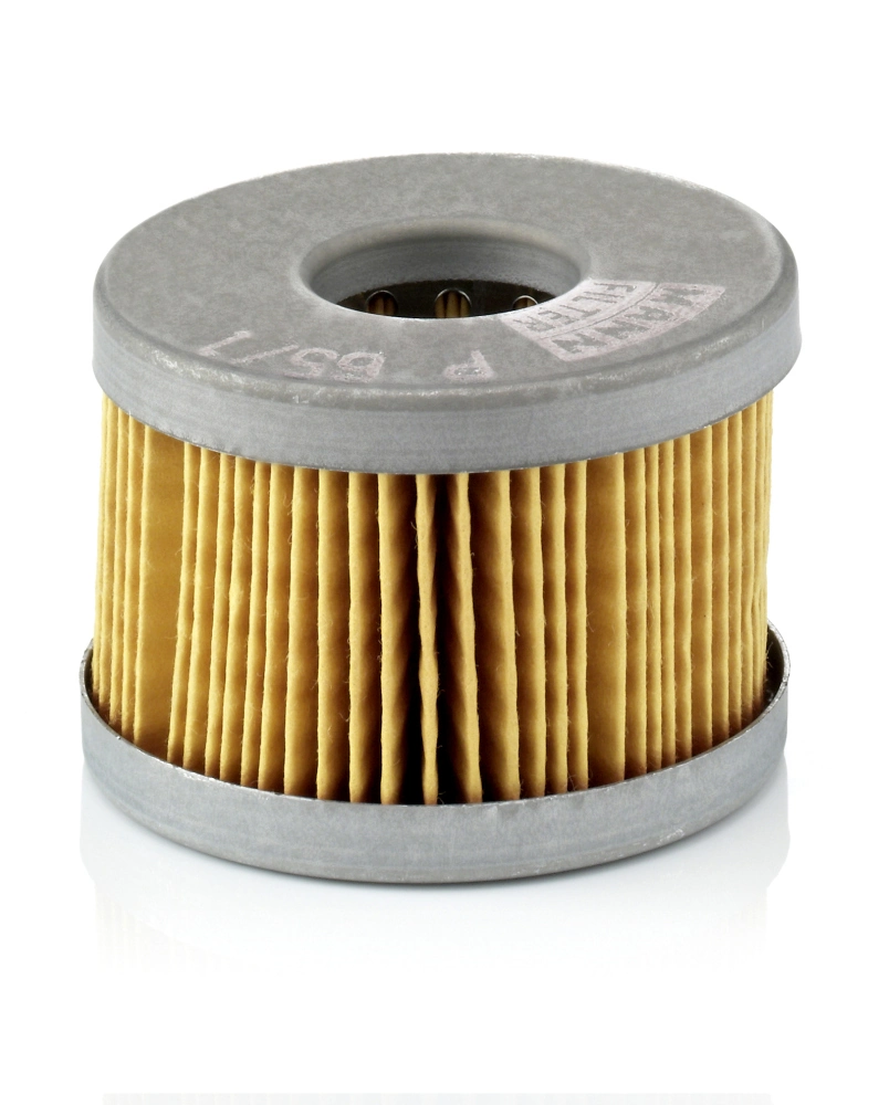 Fuel Filter P 65/1 x