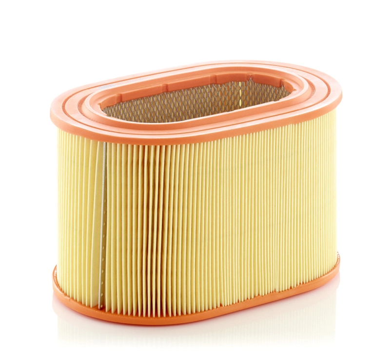 Air Filter C 24 135