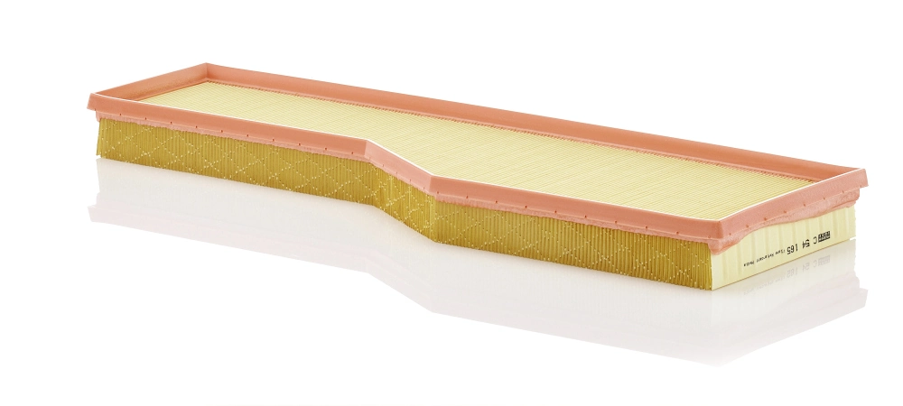Air Filter C 54 165
