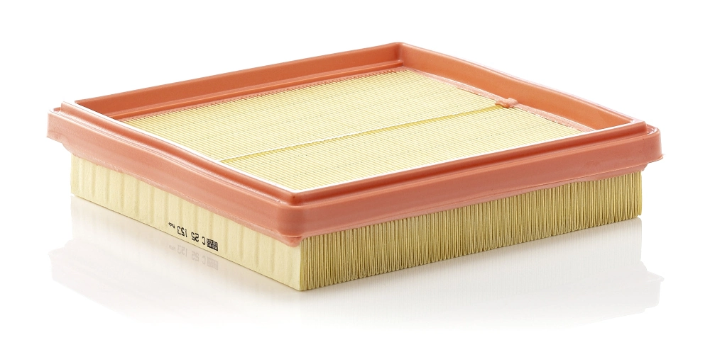 Air Filter C 25 153
