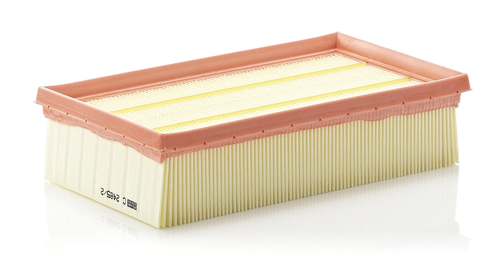 Air Filter C 2485/2
