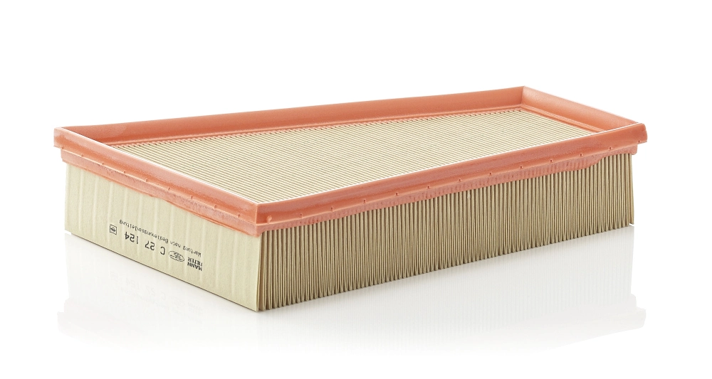 Air Filter C 27 124