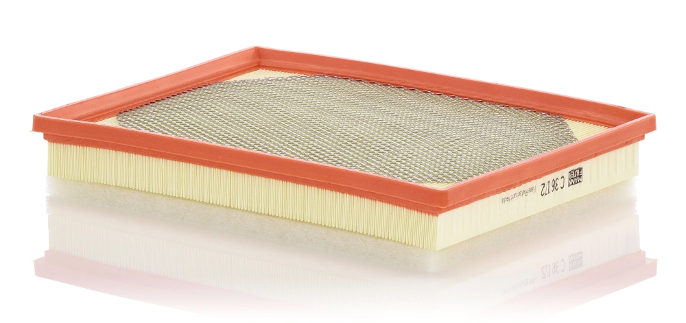 Air Filter C 36 172