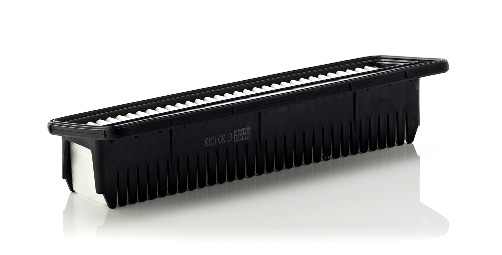 Air Filter C 30 008