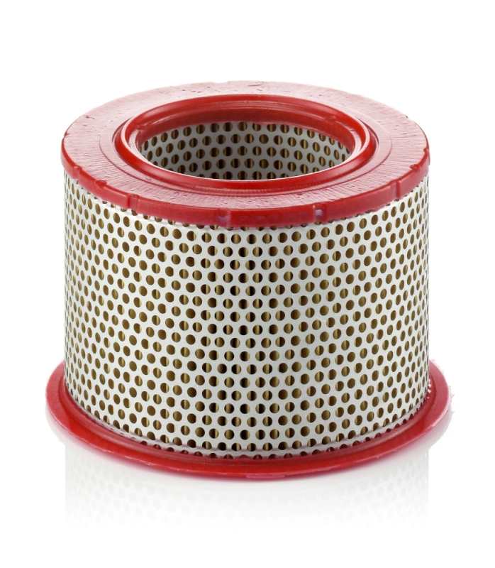 Air Filter C 1555/1