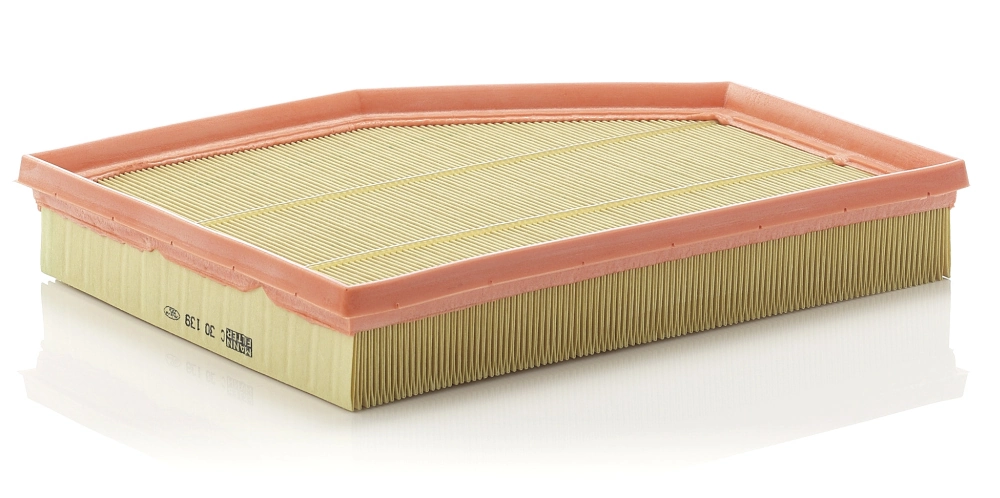 Air Filter C 30 139