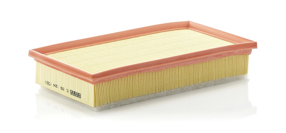 Air Filter C 29 124