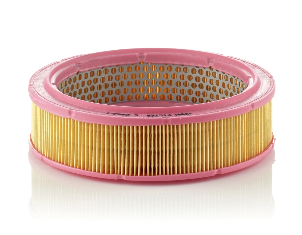 Air Filter C 2443/1