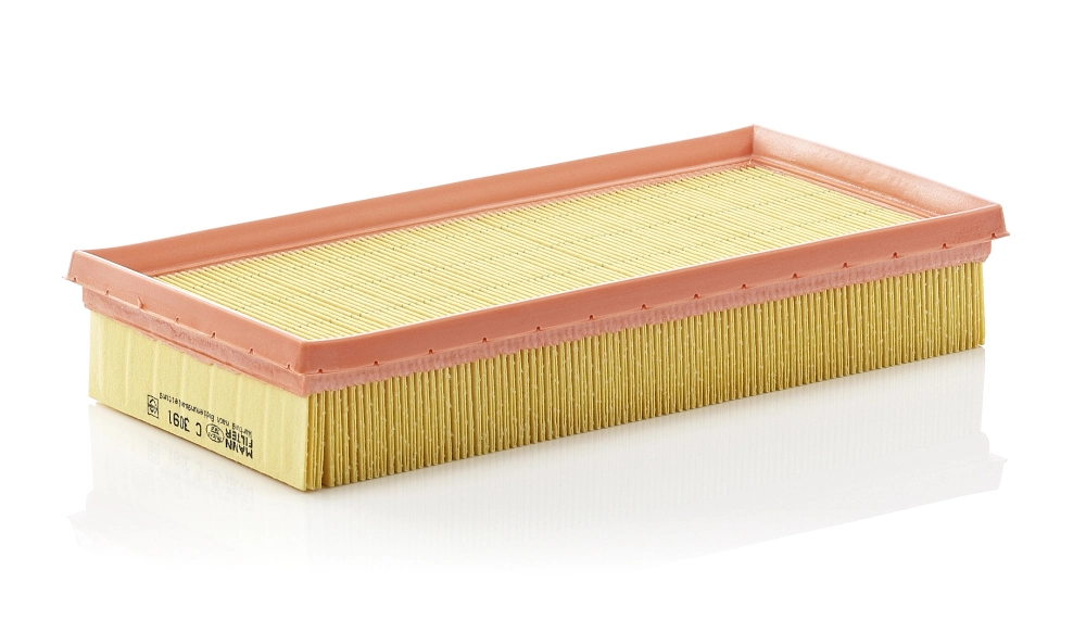 Air Filter C 3091