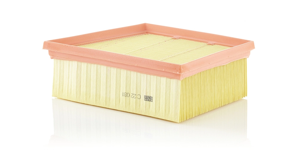 Air Filter C 22 031