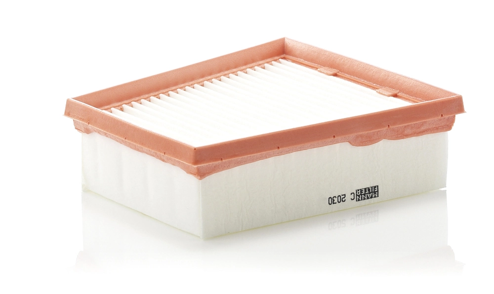 Air Filter C 2030