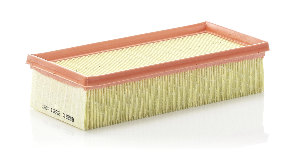 Air Filter C 2561