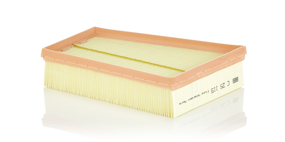 Air Filter C 25 115