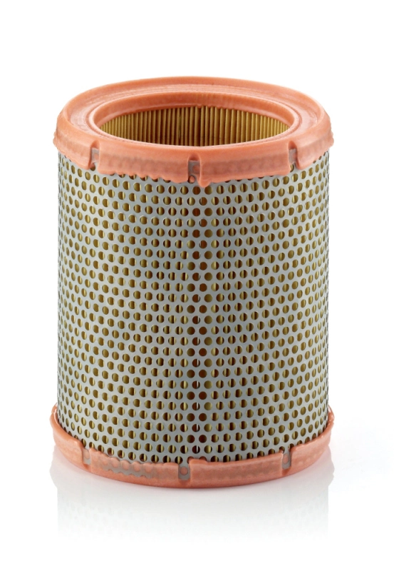 Air Filter C 1460