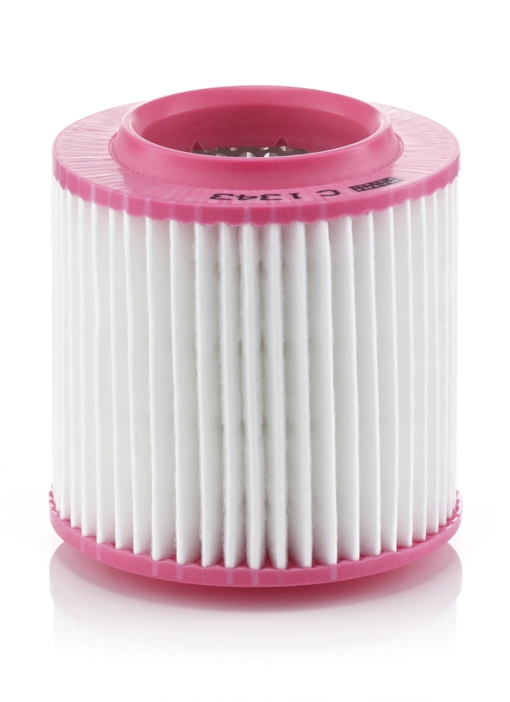 Air Filter C 1343
