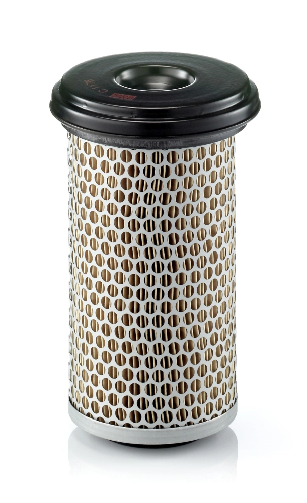 Air Filter C 1176