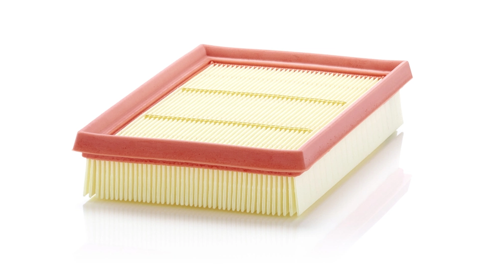 Air Filter C 24 076