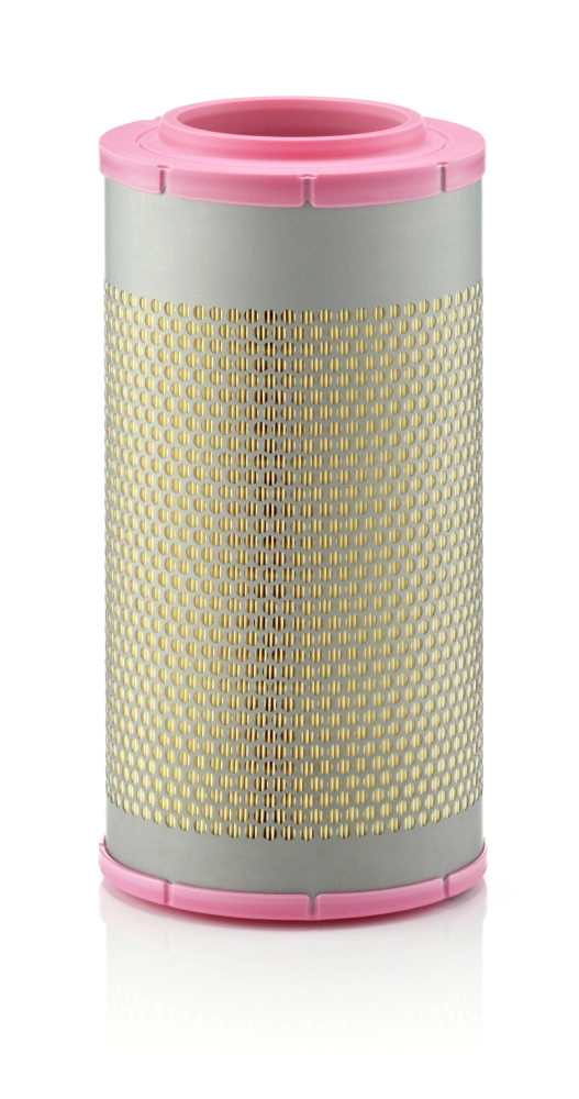 Air Filter C 22 580/1