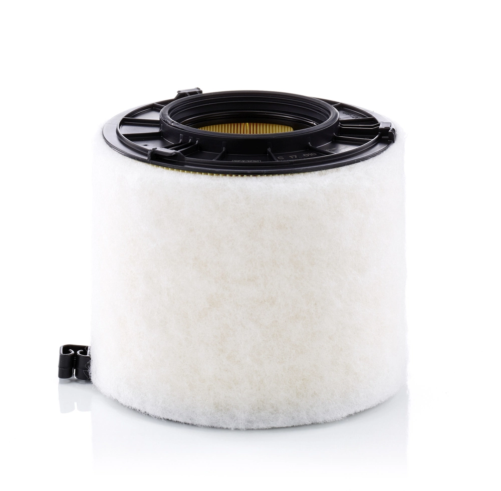 Air Filter C 17 010