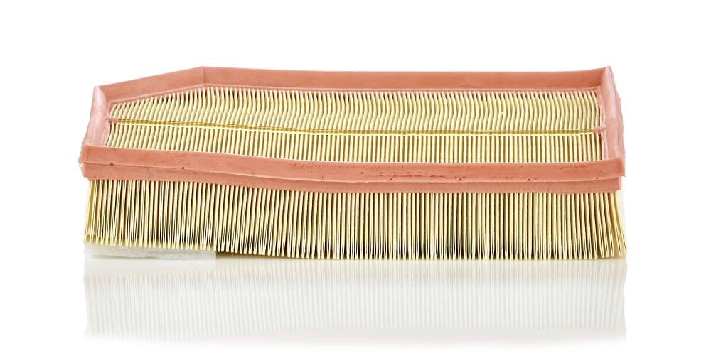 Air Filter C 33 194