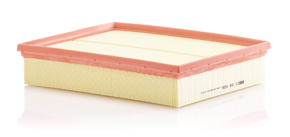Air Filter C 29 029