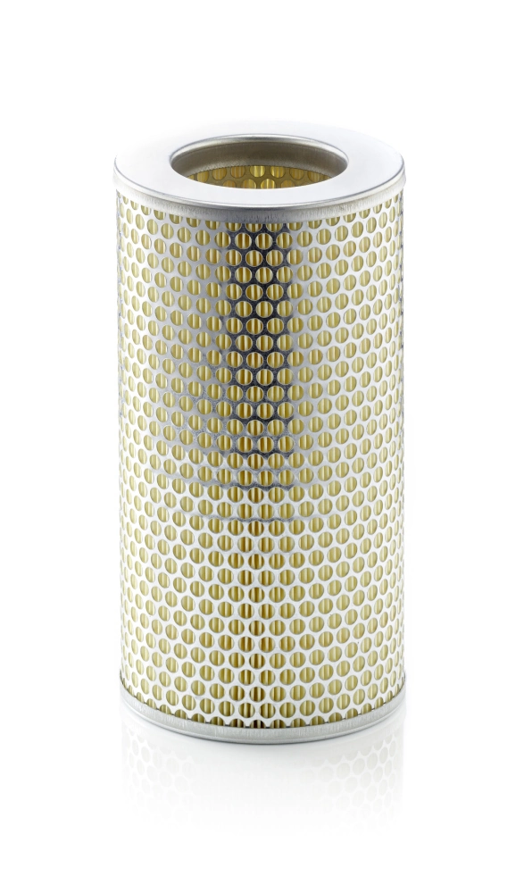 Air Filter C 15 163/1